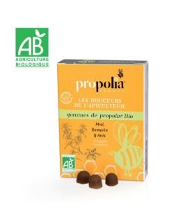 Gum eucalyptus honey-propolis, 45 g